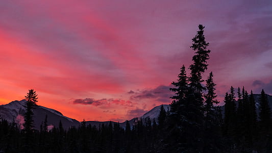 silhouette of tree with mountain during golden hour thumbnail