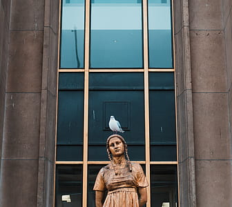 statue of woman with white bird in front of glass wall thumbnail