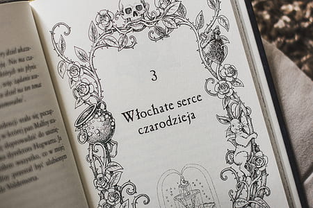 Wlochate serce czarodzieja book page thumbnail