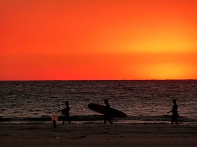 Person Carrying Surfboard Walking Near Shore thumbnail