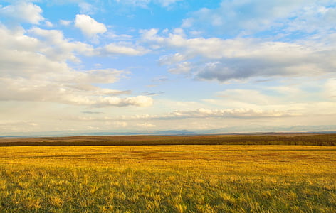 landscape photo of grass field thumbnail