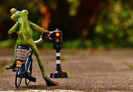 close-up photo of frog riding on bicycle near traffic light thumbnail