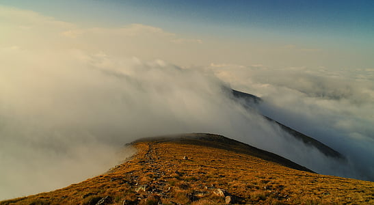 mountain coated with fogs thumbnail