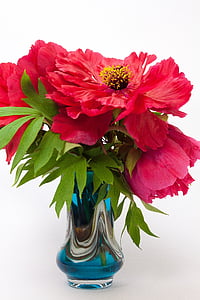 red petaled flower on glass vase thumbnail