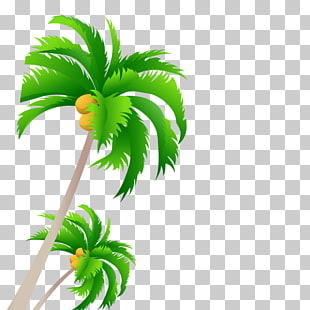 Tree Coconut, coconut tree, coconut palm tree illustration PNG clipart