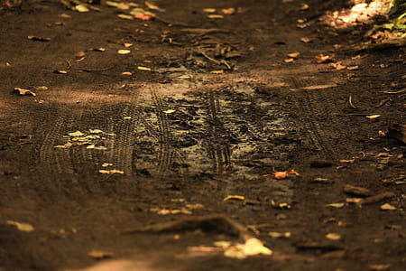 close-up photography of land thumbnail