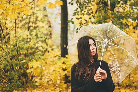 standing woman holding clear umbrella near trees thumbnail