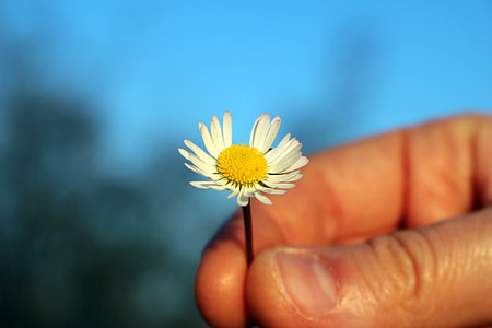 Margaret, Loves Me Or Loves Me Not thumbnail