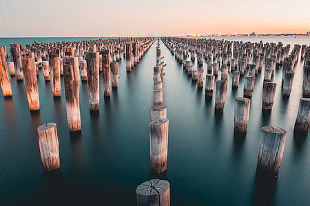 white wooden pole lot thumbnail