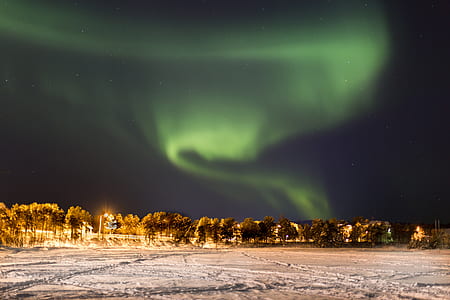 aurora view during night time thumbnail