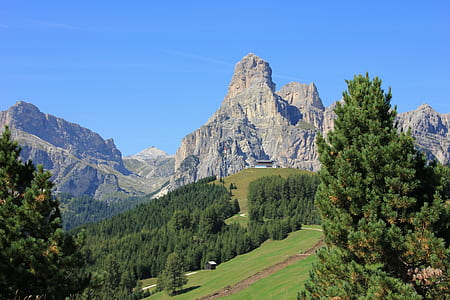 forest on hill near rock formation thumbnail