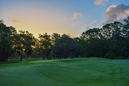Photo of Golf Course thumbnail