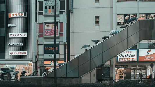 people riding on escalator thumbnail