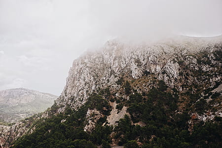 brown rocky mountain covered with trees at daytime thumbnail