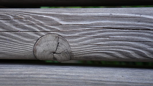 wood, dry, trunk, wooden thumbnail