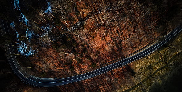 aerial photo of curved road thumbnail