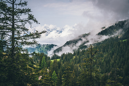 mountain with fog photo thumbnail