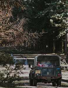 gray vehicle traveling on forest thumbnail