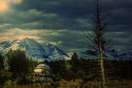 mountain and forest painting thumbnail