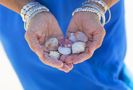 woman holding assorted-color shells thumbnail