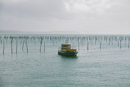 gray and white boat on body of water during daytime thumbnail