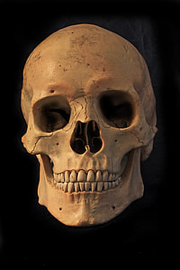 white skull thumbnail