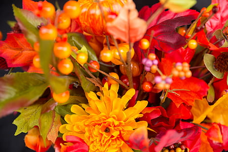 close-up photo of orange dahlia flowers and yellow berries thumbnail