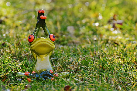 green and white ceramic frog figurine on green grass field thumbnail