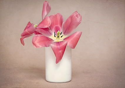red flowers in white vase thumbnail