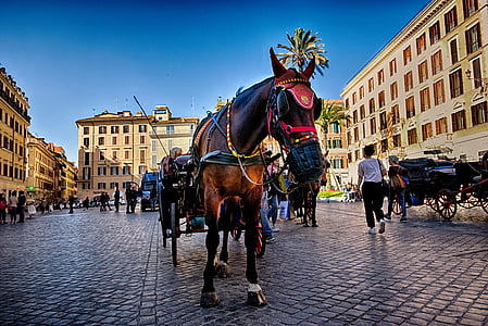 brown horse with carriage thumbnail