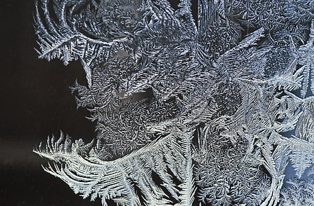 gray leaf ornament thumbnail