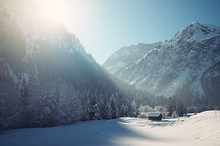 black wooden house near forest and mountains covered in snow during daytime thumbnail