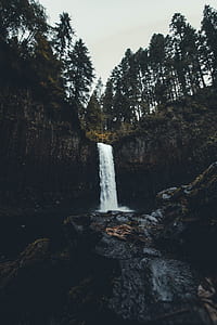 waterfalls near forest under gray sky during daytime thumbnail