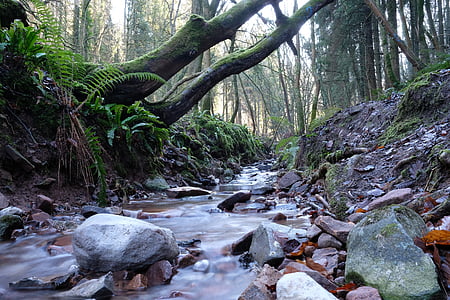 time lapse photography of river thumbnail