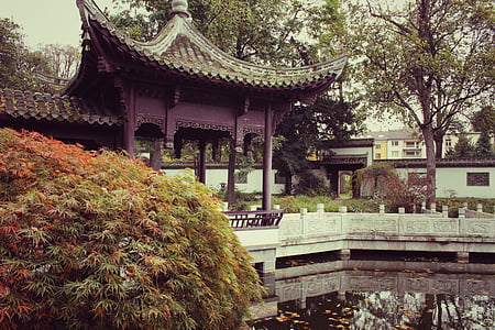 white and gray pagoda in front of water body thumbnail