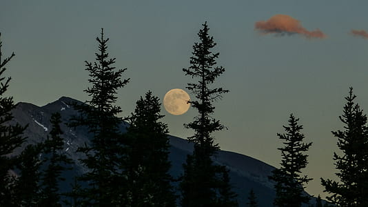 black mountain near green leafed trees during night time thumbnail