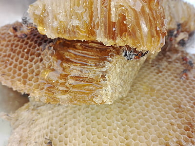 honey comb thumbnail