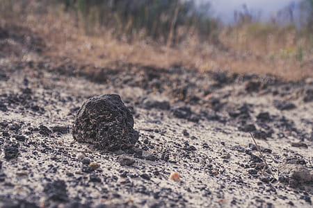 Close Up Photography of Small Black Stone thumbnail