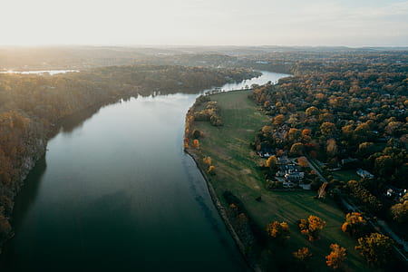 river between forests during golden time thumbnail