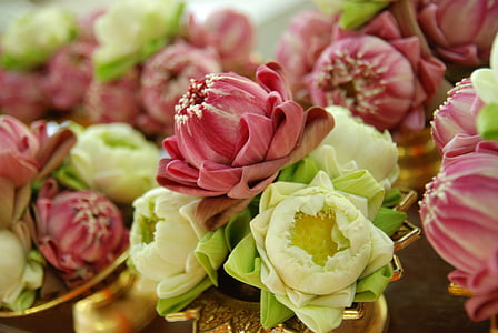 flowers thumbnail