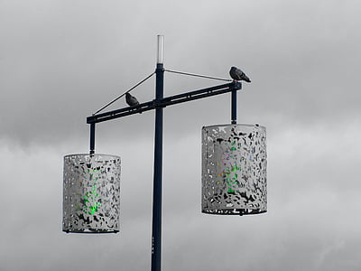 two birds perching on pole thumbnail