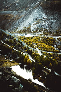 green leafed trees and mountain thumbnail