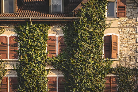 Brown House With Green Plants thumbnail
