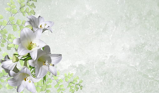 white flowers wallpaper thumbnail