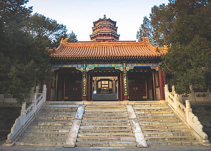 pagoda surrounded by trees thumbnail