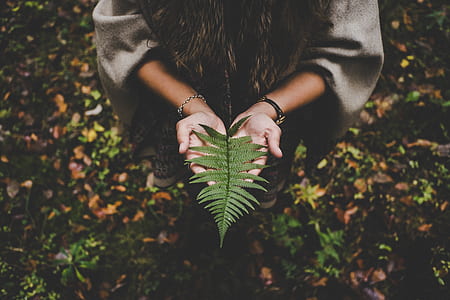 hands, woman, leaves, autumn thumbnail