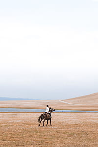 man on horse thumbnail