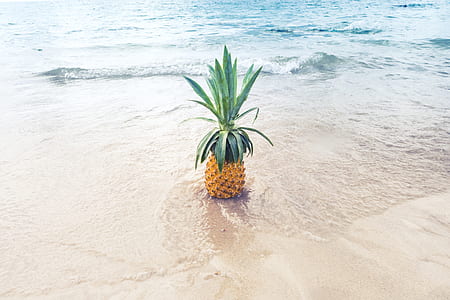 pineapple fruit on white sand taken at daytime thumbnail