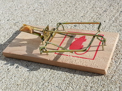 closeup photo of gray and brown mouse trap thumbnail