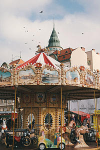 group of birds flying over carousel thumbnail